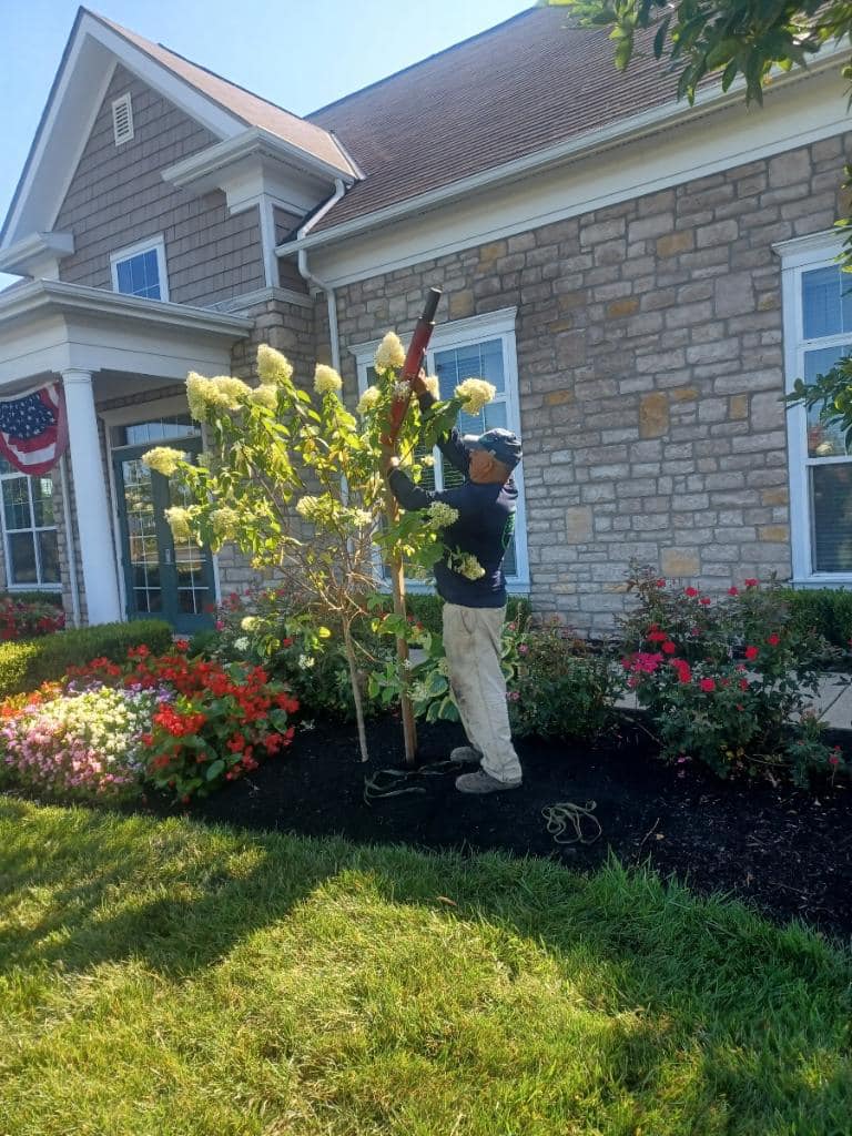 5 Ways Commercial Landscaping Improves Property Image